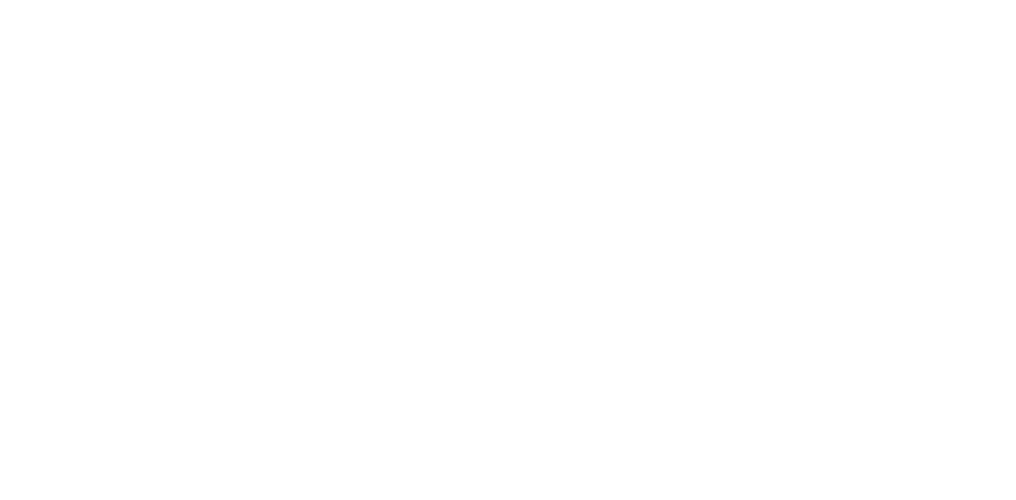 Aneel